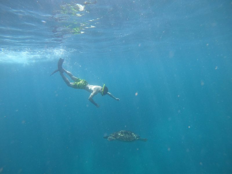 Snorkeler diving towards a green sea turtle in clear blue water at Turtle Point, Gili Meno