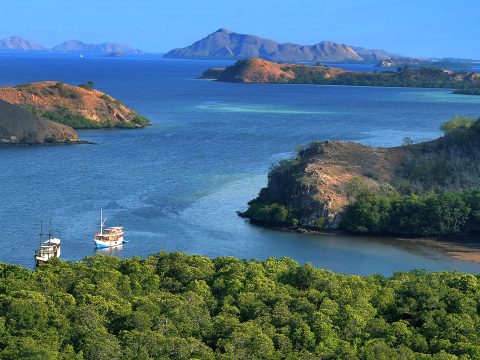 Morning light over savanna hills and quiet bays in Komodo National Park