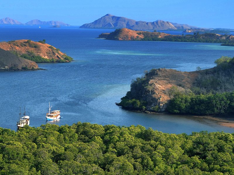 Morning light over savanna hills and quiet bays in Komodo National Park