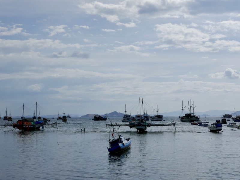 Tour boats moored in Labuan Bajo harbour, the gateway to Komodo National Park